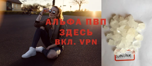 твердый Михайлов