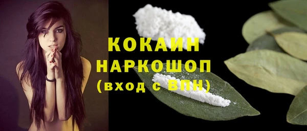 твердый Михайлов