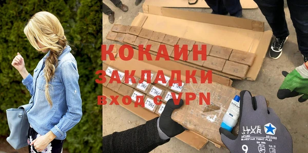 твердый Михайлов