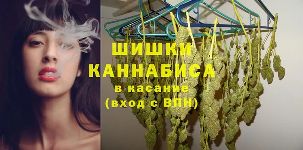 твердый Михайлов