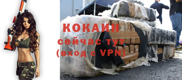 твердый Михайлов