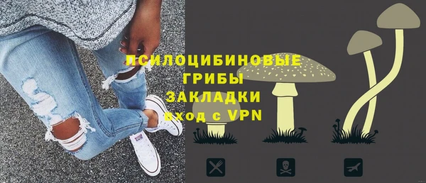 твердый Михайлов