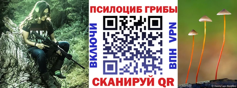 Псилоцибиновые грибы Cubensis mega сайт Алапаевск